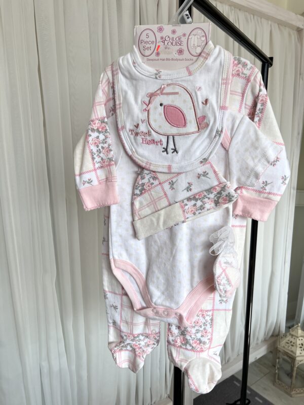 Beebi 5-osaline komplekt Chloé Louise (3–6 kuud)